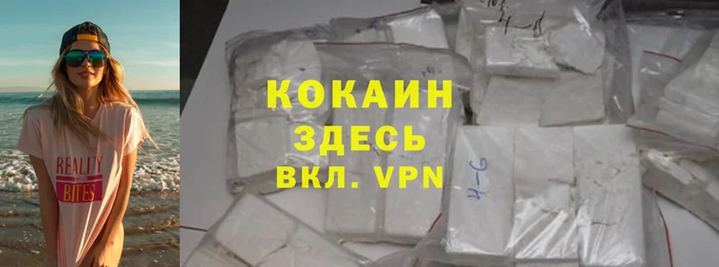 где можно купить   Бежецк  Cocaine FishScale 